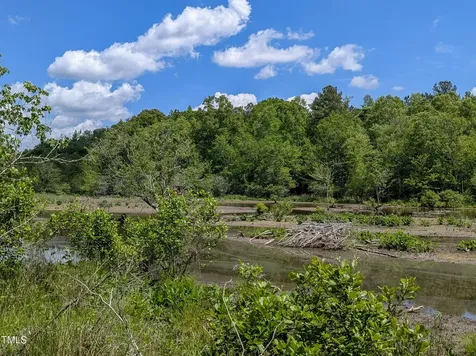 0 Cypress Creek Drive Louisburg NC 27549
