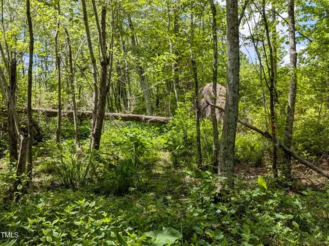 0 Cypress Creek Drive Louisburg NC 27549