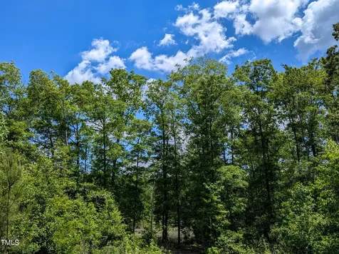 0 Cypress Creek Drive Louisburg NC 27549