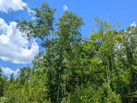 0 Cypress Creek Drive Louisburg NC 27549