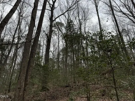 0 Eatmon Road Zebulon NC 27597