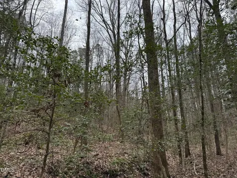 0 Eatmon Road Zebulon NC 27597