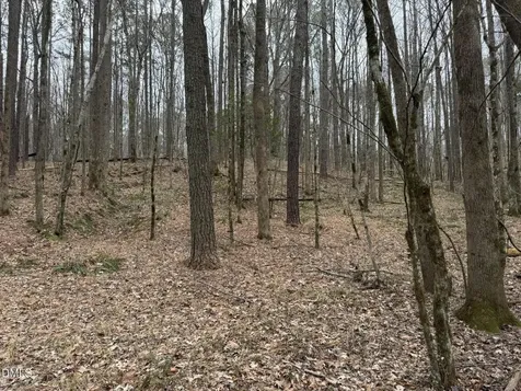 0 Eatmon Road Zebulon NC 27597