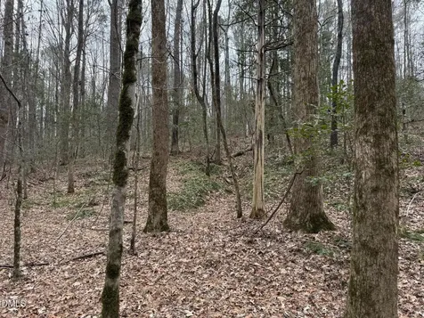 0 Eatmon Road Zebulon NC 27597