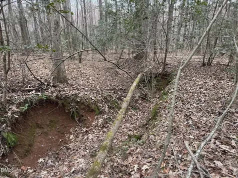 0 Eatmon Road Zebulon NC 27597