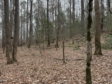 0 Eatmon Road Zebulon NC 27597