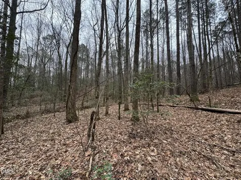 0 Eatmon Road Zebulon NC 27597