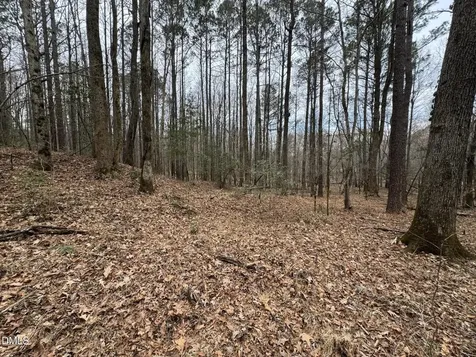 0 Eatmon Road Zebulon NC 27597