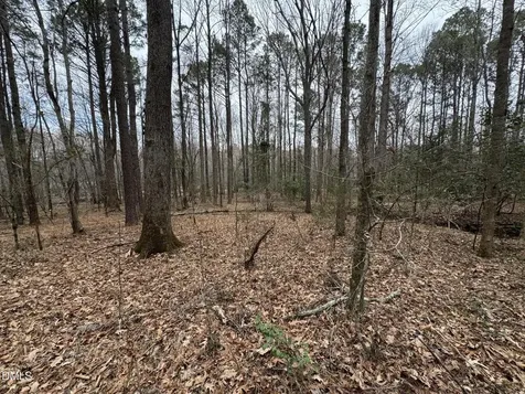0 Eatmon Road Zebulon NC 27597