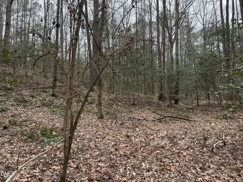 0 Eatmon Road Zebulon NC 27597
