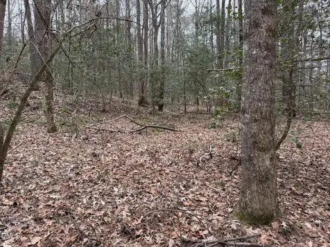0 Eatmon Road Zebulon NC 27597