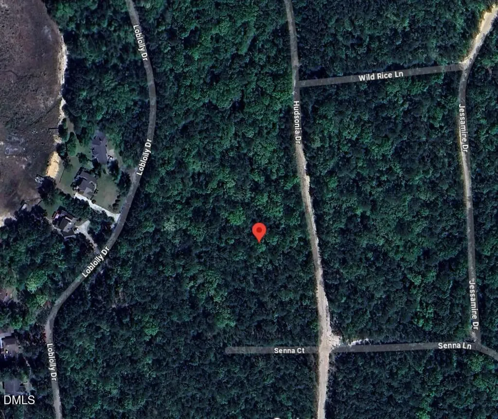 862 Hudsonia Drive Vass NC 28394