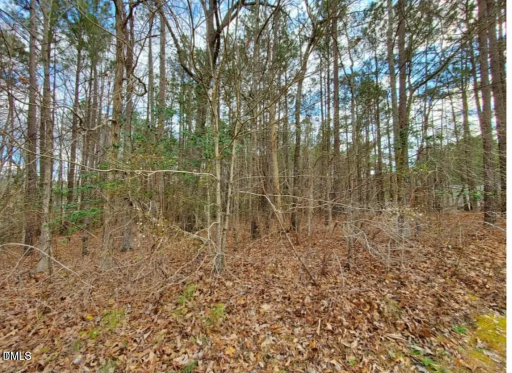 195 Owl Drive Youngsville NC 27596