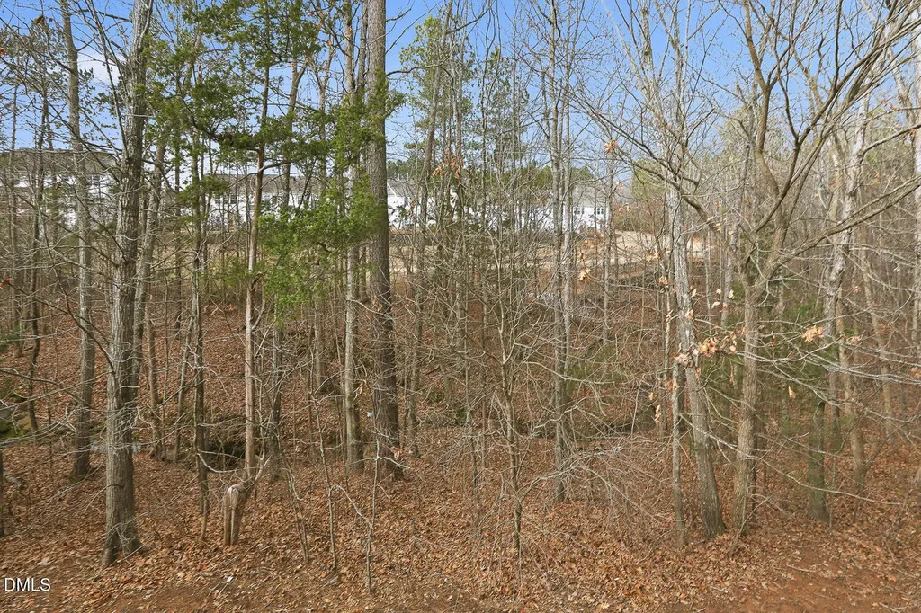 2245 Mayo Forest Lane Morrisville NC 27560
