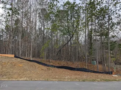101 Richmond Run Stem NC 27581