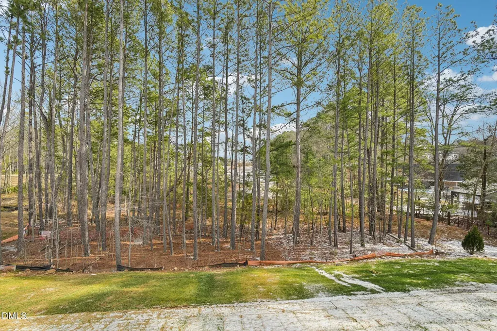 10904 Bayflower Way Raleigh NC 27617