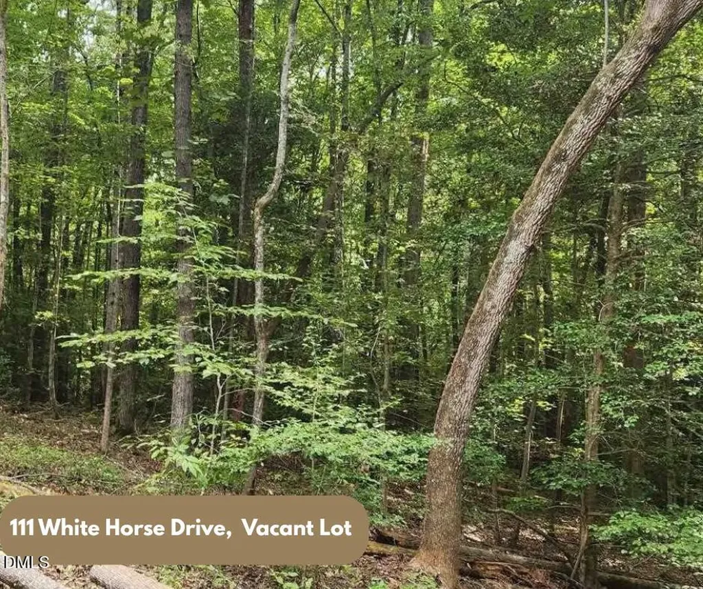 111 White Horse Drive Louisburg NC 27549