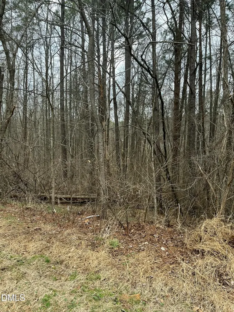 93 Lot Haynoke Drive Graham NC 27253