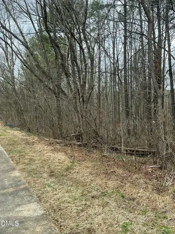 93 Lot Haynoke Drive Graham NC 27253