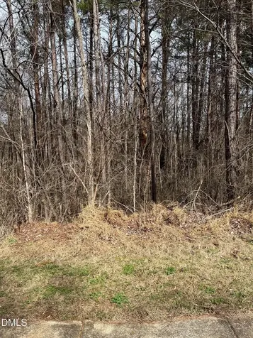 93 Lot Haynoke Drive Graham NC 27253