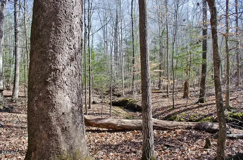001 Scott Lane Henderson NC 27537