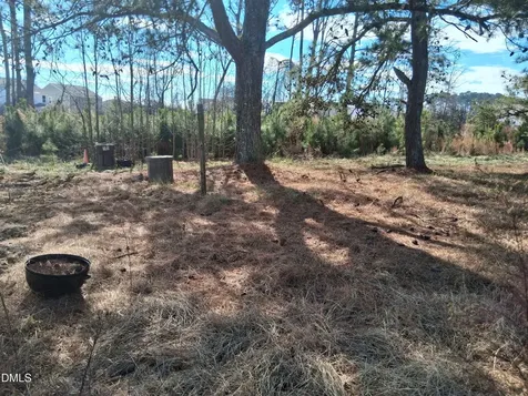 149 Fox Trot Way Wilsons Mills NC 27577