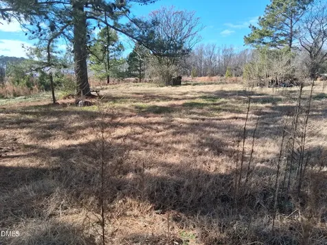 149 Fox Trot Way Wilsons Mills NC 27577