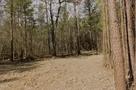 Lot 00 John Snipes Road Siler City NC 27344