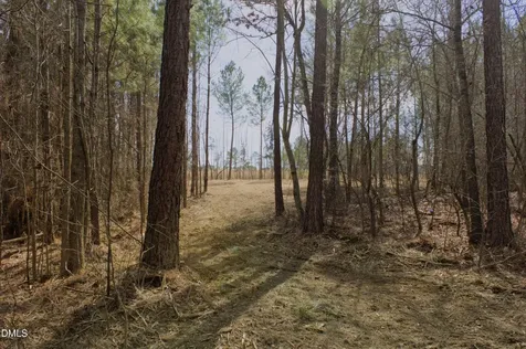 Lot 00 John Snipes Road Siler City NC 27344