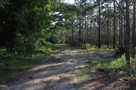 0 Johnson Pond Road Red Springs NC 28377
