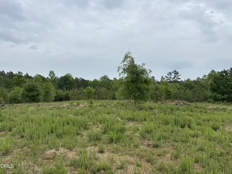 0 Burchette Lot 3 Road Manson NC 27553