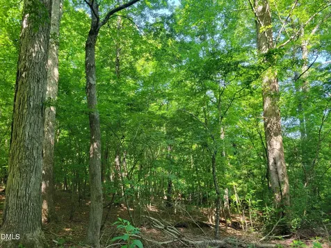 0 Hicks Farm Road Staley NC 27355