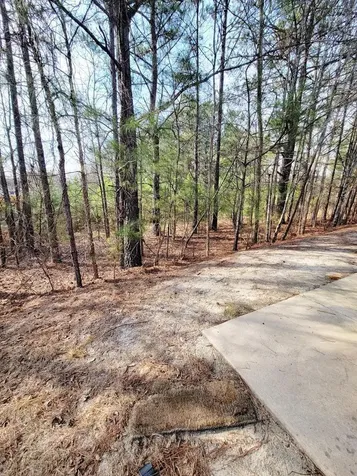 3944 Volkswalk Place Raleigh NC 27610