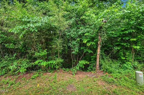 4704 Blue Bird Court Raleigh NC 27606