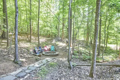 3110 Carriage Trail Hillsborough NC 27278
