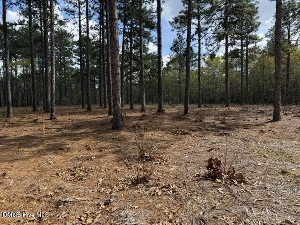 27 Birkdale Way Pinehurst NC 28374
