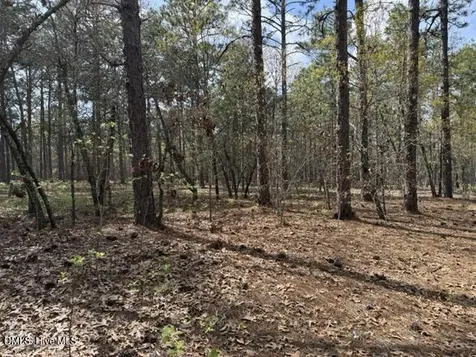 27 Birkdale Way Pinehurst NC 28374