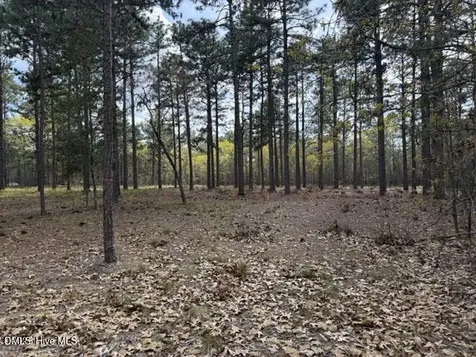 27 Birkdale Way Pinehurst NC 28374