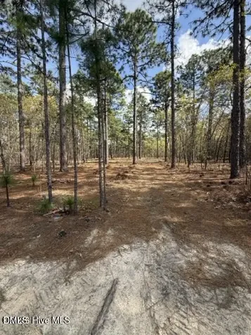 27 Birkdale Way Pinehurst NC 28374