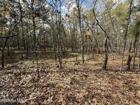 27 Birkdale Way Pinehurst NC 28374