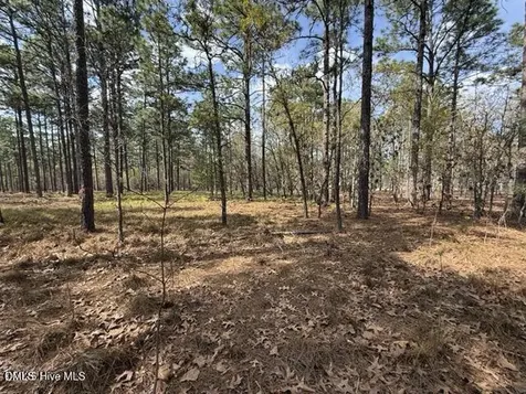 27 Birkdale Way Pinehurst NC 28374