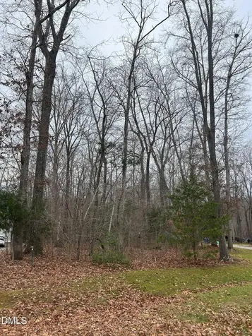 00 Weaver Ridge Road Rougemont NC 27572