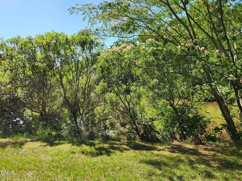 Lot 2 Holden Road Youngsville NC 27596