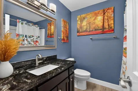 405 Lookout Point Rougemont NC 27572