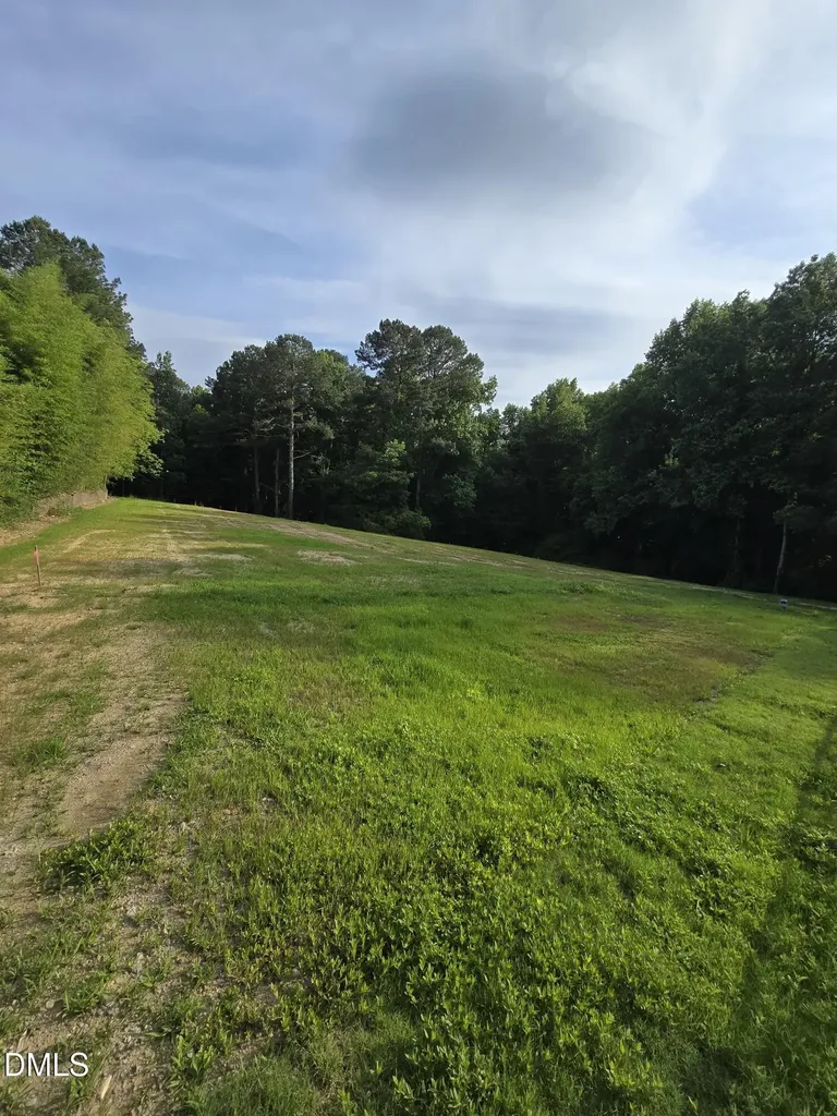 0 Honeycutt Road Willow Springs NC 27592