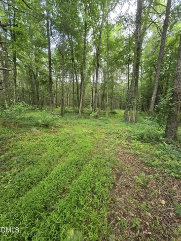0 Honeycutt Road Willow Springs NC 27592