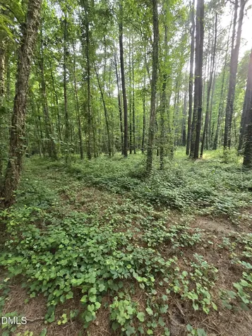 0 Honeycutt Road Willow Springs NC 27592