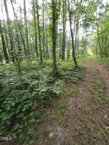 0 Honeycutt Road Willow Springs NC 27592