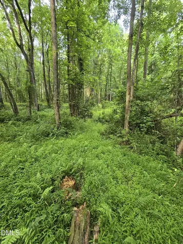 0 Honeycutt Road Willow Springs NC 27592