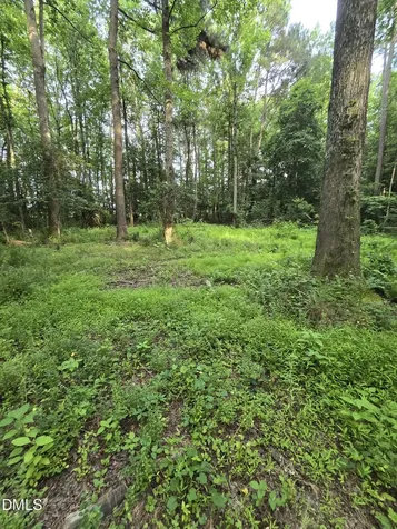 0 Honeycutt Road Willow Springs NC 27592